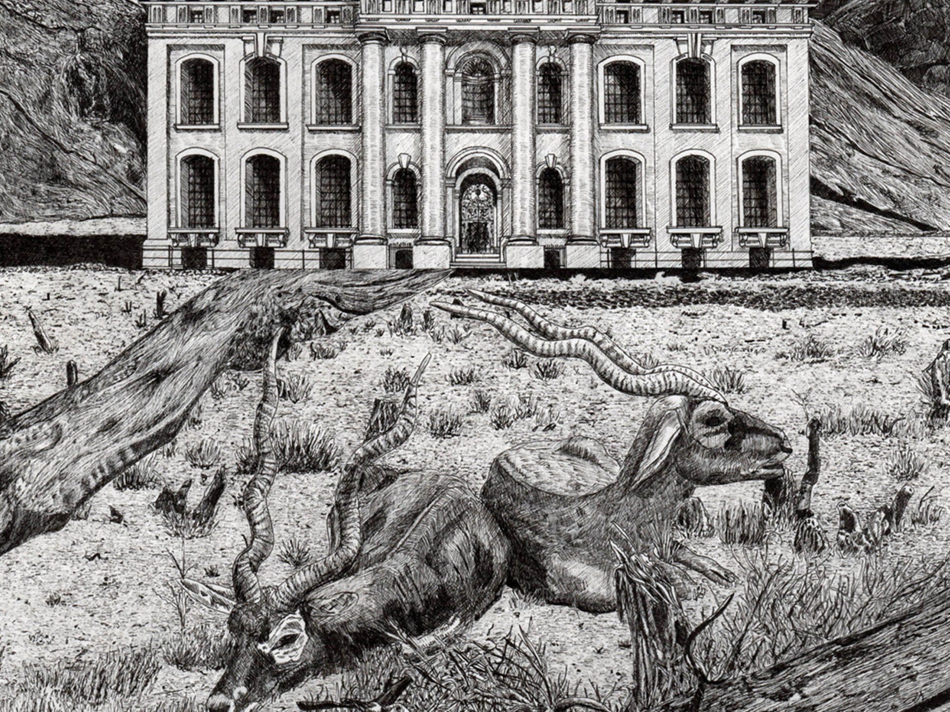 SOLITUDINEM - Édition limitée sur papier d’art / 30 x 40 cm